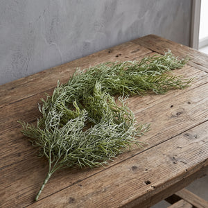 ASPARAGUS COLGANTE 112 CM