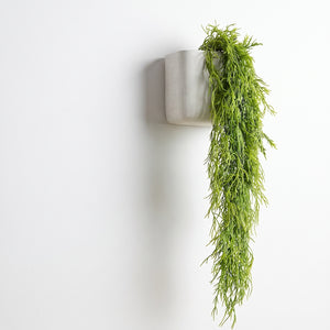 ASPARAGUS COLGANTE 112 CM