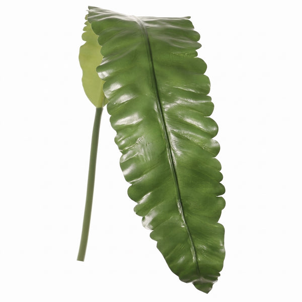 HOJA DE ASPLENIUM 120 CM