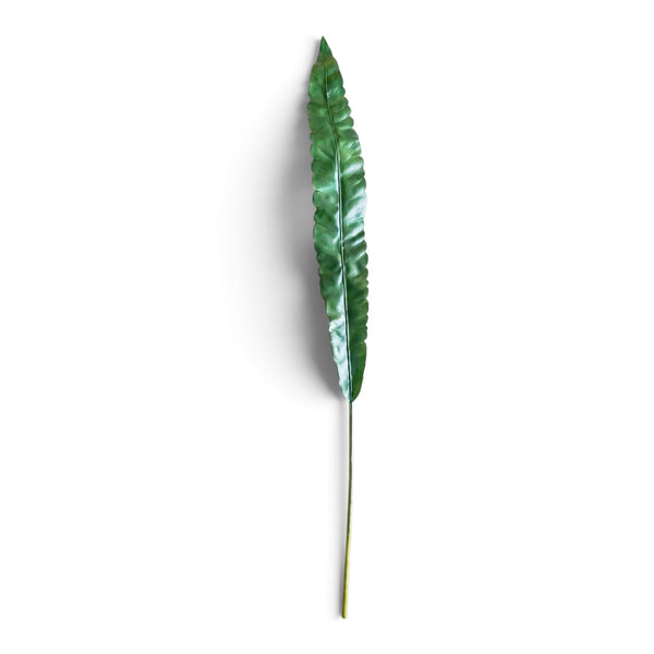 HOJA DE ASPLENIUM 120 CM