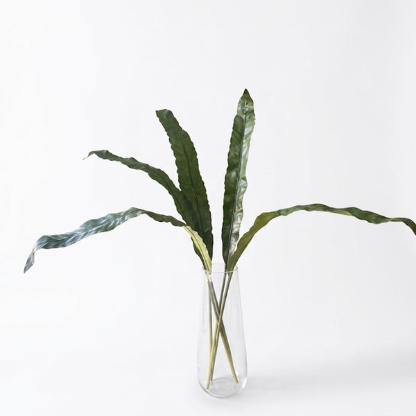 HOJA DE ASPLENIUM 120 CM