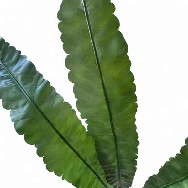 HOJA DE ASPLENIUM 120 CM