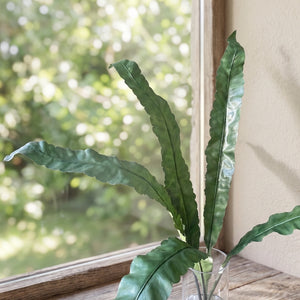 HOJA DE ASPLENIUM 120 CM
