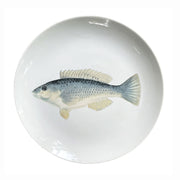 PLATO COMIDA PEZ REY