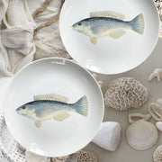 PLATO COMIDA PEZ REY