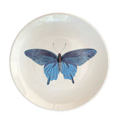 PLATO ENSALADA MARIPOSA