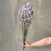 VARAS SECAS ESTATICE SINUATA LILA PASTEL