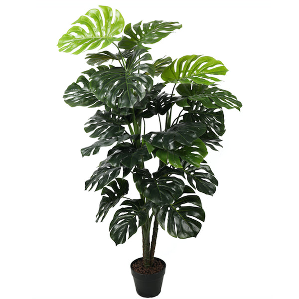 PLANTA MONSTERA 120 CM