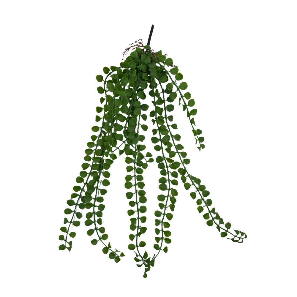 HELECHO BOTÓN COLGANTE 60CM