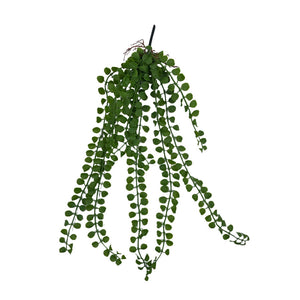 HELECHO BOTÓN COLGANTE 60CM