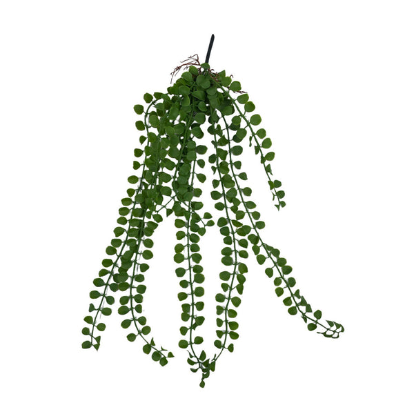 HELECHO BOTÓN COLGANTE 60CM