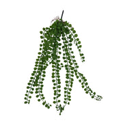 HELECHO BOTÓN COLGANTE 60CM