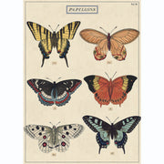 LÁMINA IMPRESA BUTTERFLIES