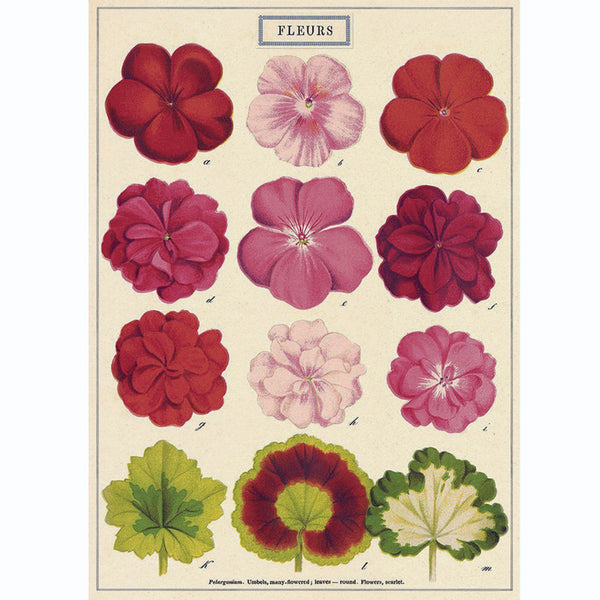 LÁMINA IMPRESA FELURS