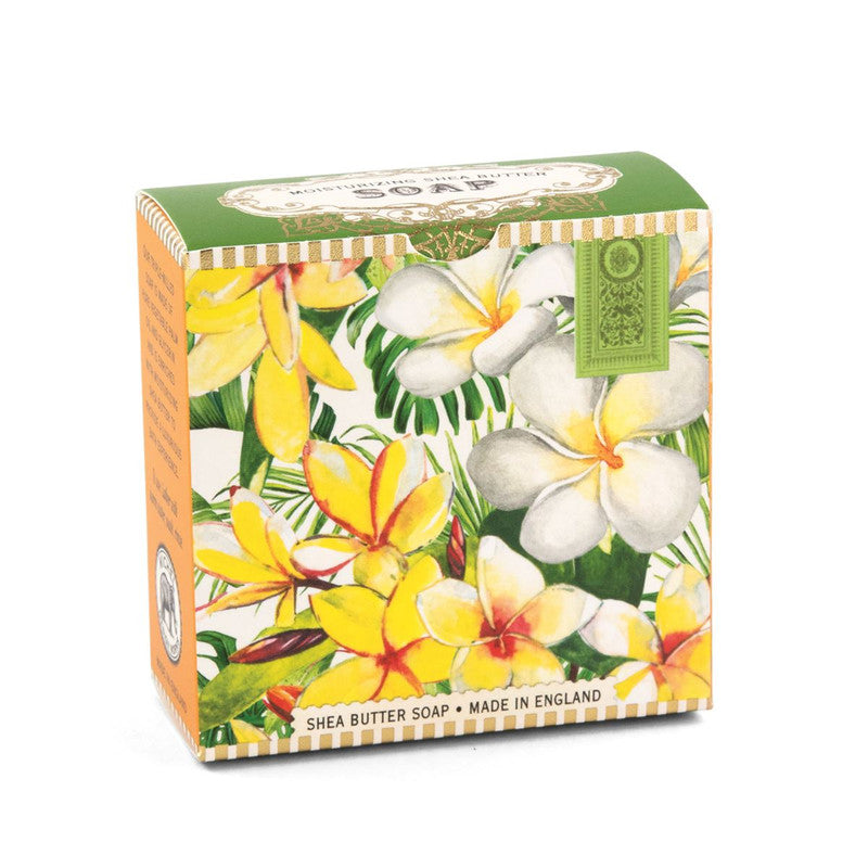 JABÓN BARRA REDONDO PLUMERIA
