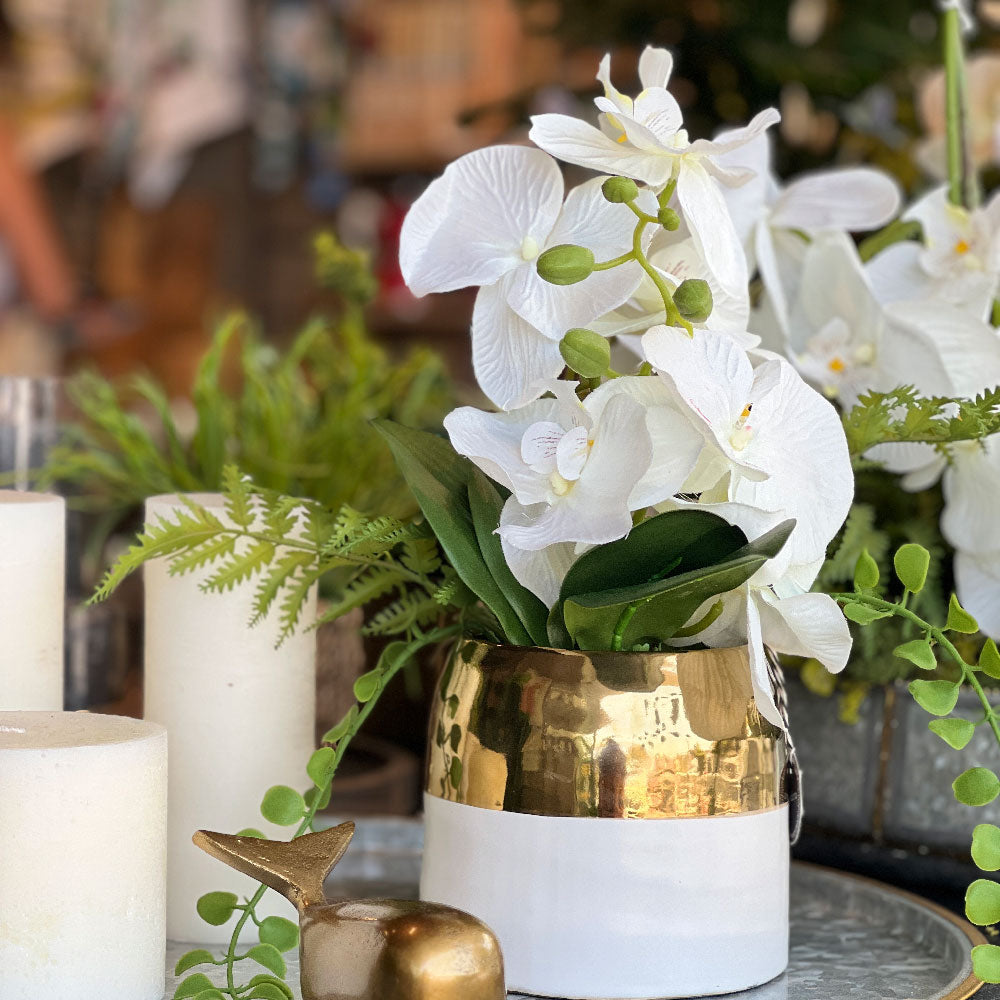 ARREGLO DE ORQUÍDEA BLANCO Y DORADO