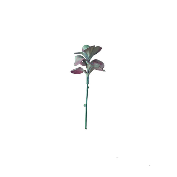 SUCULENTA JADE ROSADO