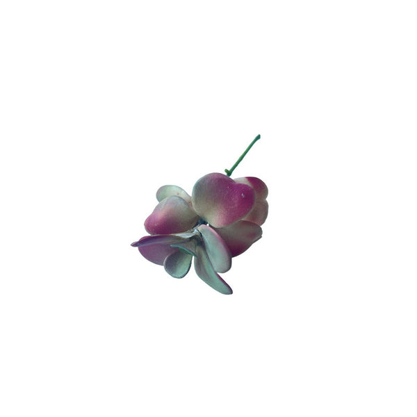 SUCULENTA JADE ROSADO