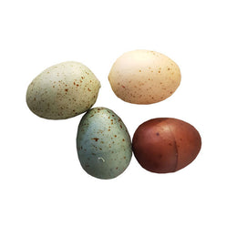 HUEVITOS DE PÁJARO ARTIFICIALES (4)