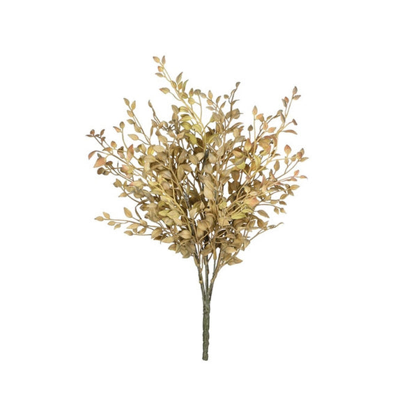 BROTE DE SOJA AMARILLO 32 CM