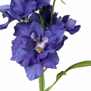 DELPHINIUM AZUL 60 CM