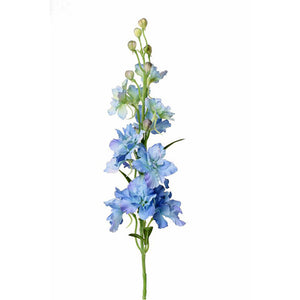 DELPHINIUM CELESTE 60 CM