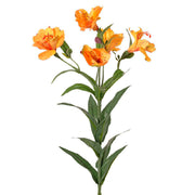 ASTROMELIA AMBAR 75 CM