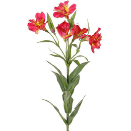 ASTROMELIA FUCSIA 75 CM