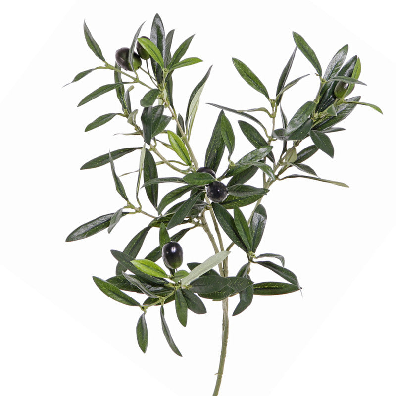 RAMA OLIVO 55 CM