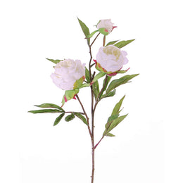 PEONÍA BLANCA 73 CM