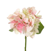 HORTENSIA ROSA CLARO 33CM