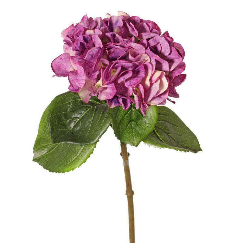 HORTENSIA PURPURA 60CM