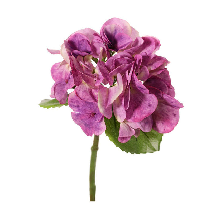 HORTENSIA PURPURA 33CM
