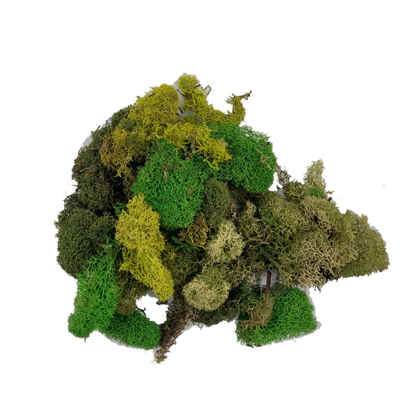 MUSGO VERDE