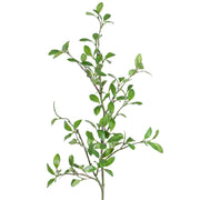 RAMA ALIGUSTRE 104 CM