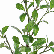 RAMA ALIGUSTRE 104 CM