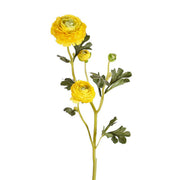 RANÚNCULO AMARILLO 65 CM