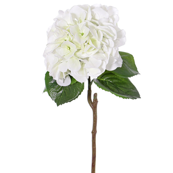 HORTENSIA BLANCA 60 CM