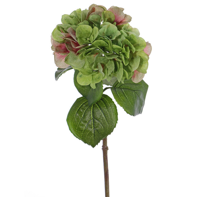 HORTENSIA VERDE CON ROSADO 60 CM