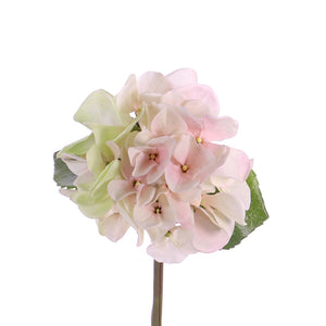 HORTENSIA BLANCA CON ROSADO 33CM