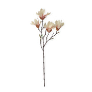 MAGNOLIA STELLATA ROSA PALIDO 60CM