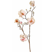 MAGNOLIA DOLLY ROSA PÁLIDO 80CM