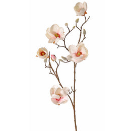 MAGNOLIA DOLLY ROSA PÁLIDO 80CM