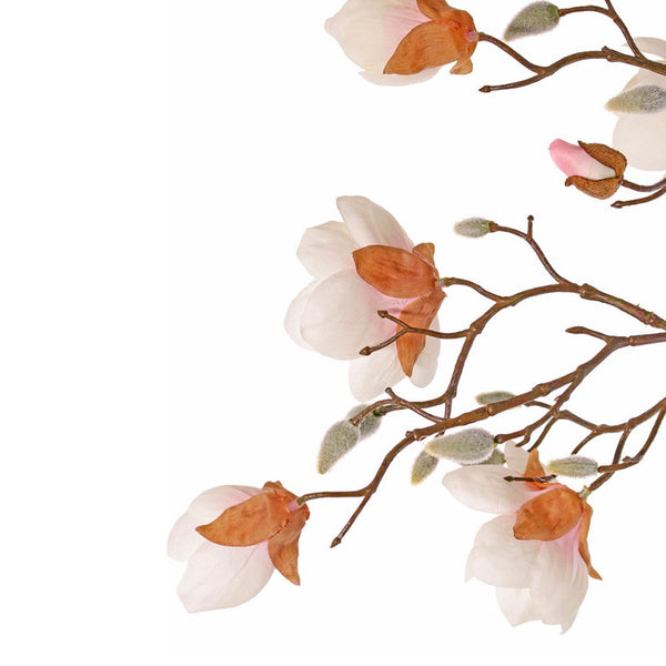 MAGNOLIA DOLLY ROSA PÁLIDO 80CM