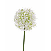 ALLIUM BLANCO 33 CM