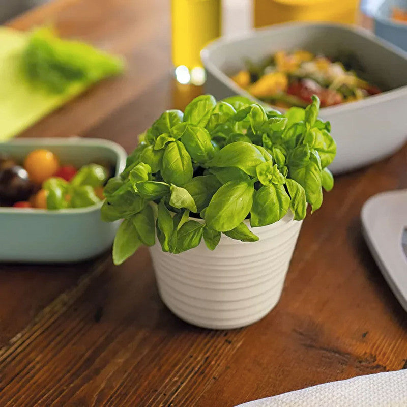 MACETA SINGLE BLANCO