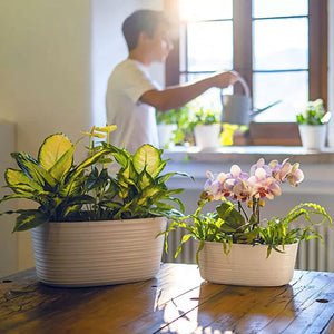 MACETA OVALADA ARENA